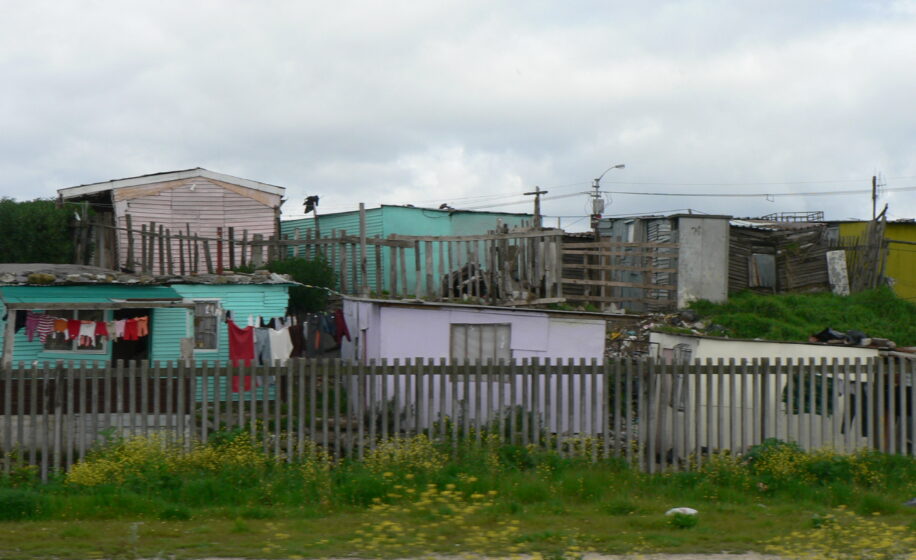 356_cape_flats_cluster_good_080925-916x560